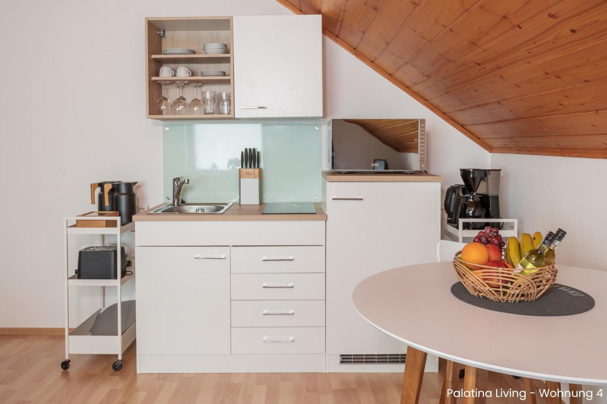 Palatina Living Διαμέρισμα Fischbach Εξωτερικό φωτογραφία