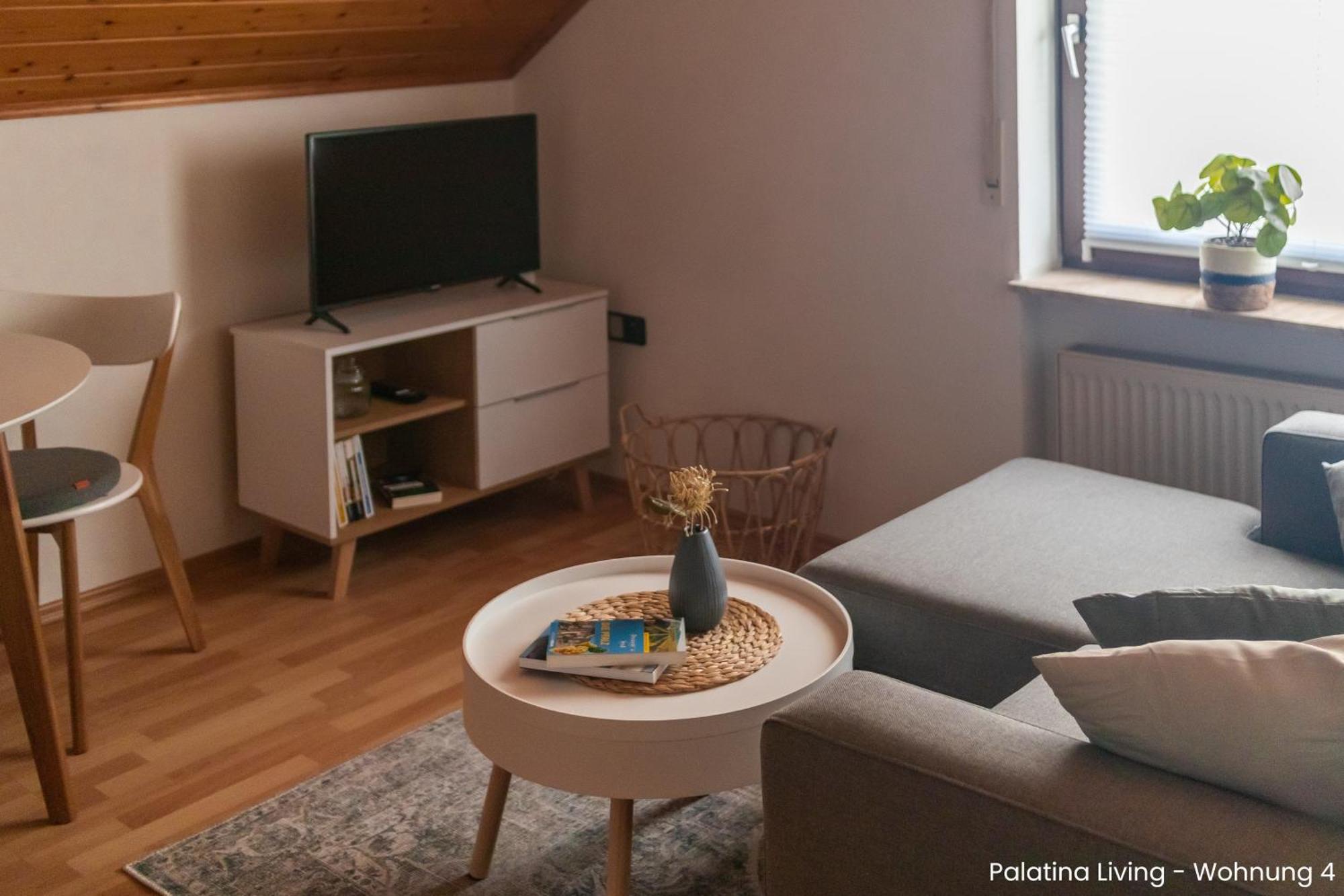 Palatina Living Διαμέρισμα Fischbach Εξωτερικό φωτογραφία