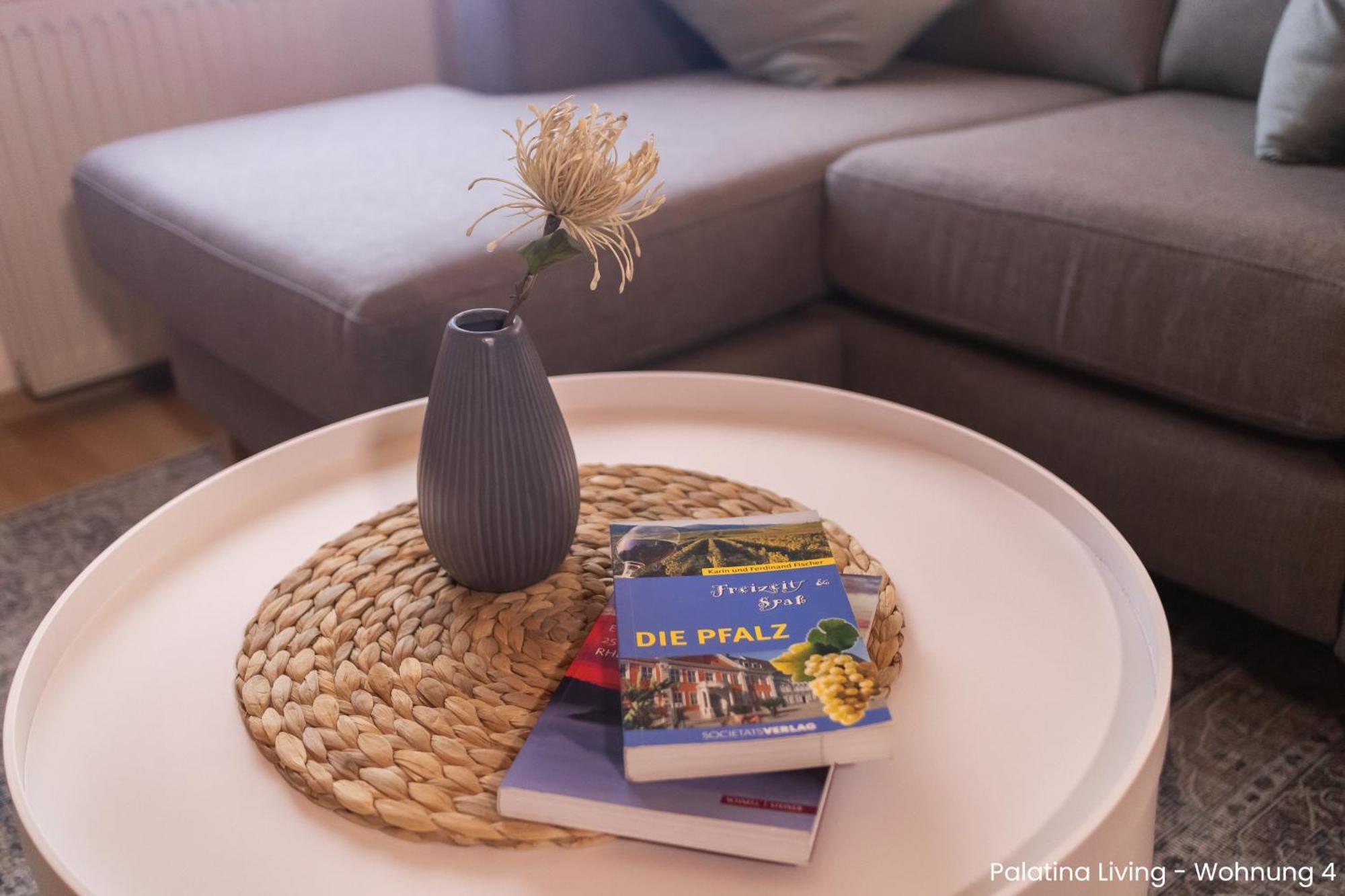 Palatina Living Διαμέρισμα Fischbach Εξωτερικό φωτογραφία