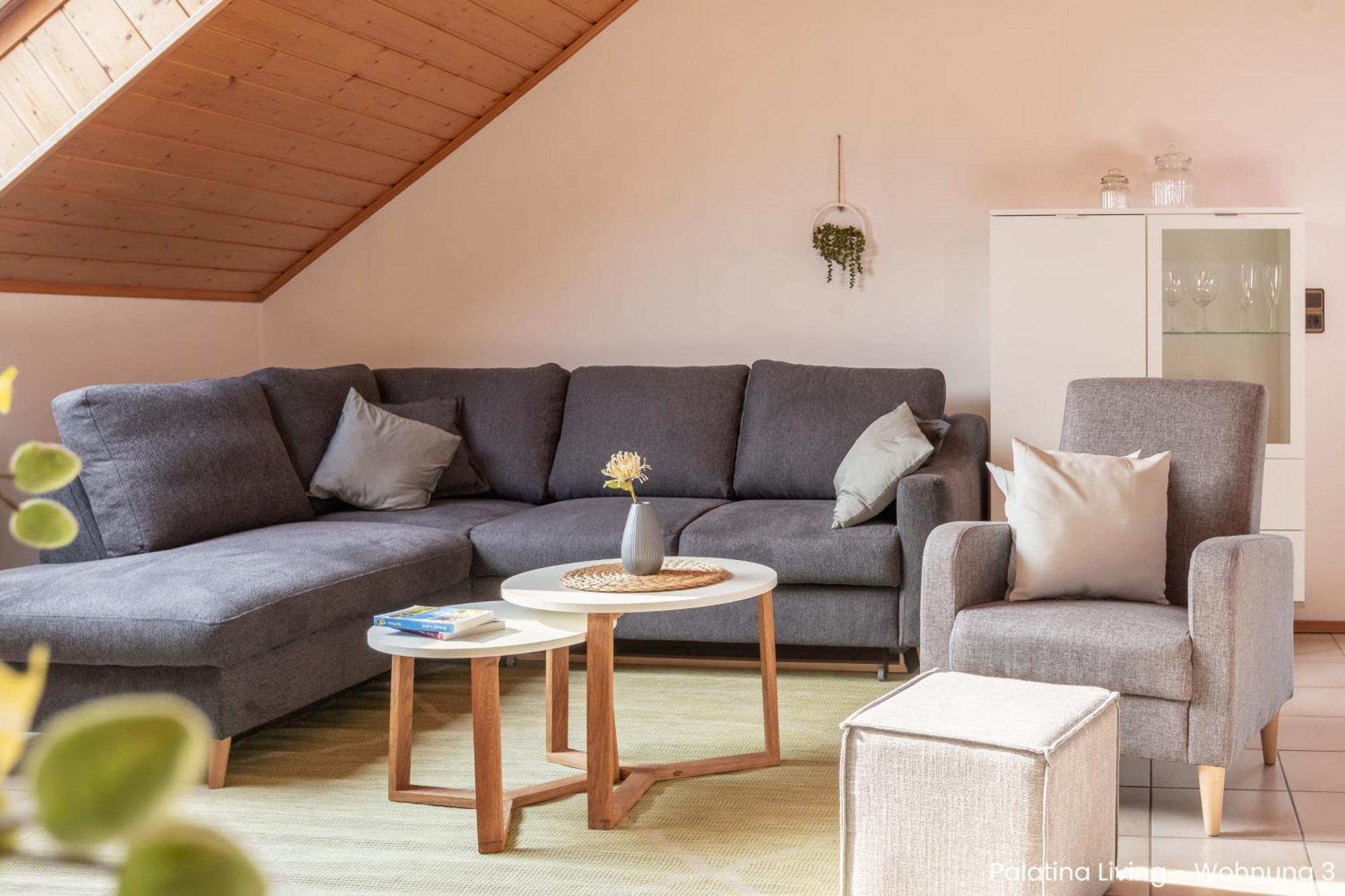 Palatina Living Διαμέρισμα Fischbach Εξωτερικό φωτογραφία