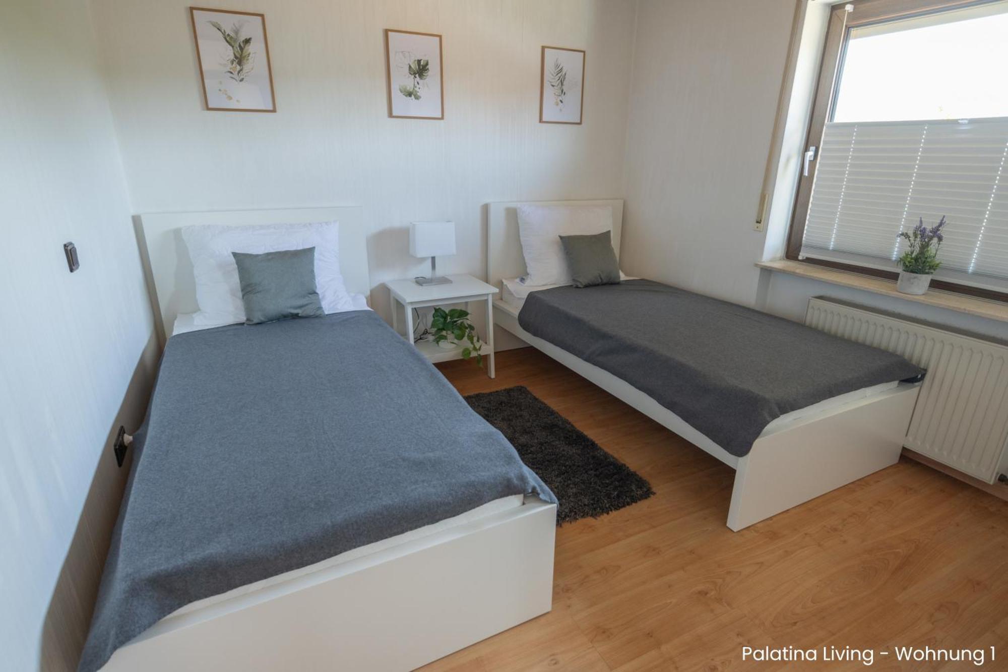 Palatina Living Διαμέρισμα Fischbach Εξωτερικό φωτογραφία