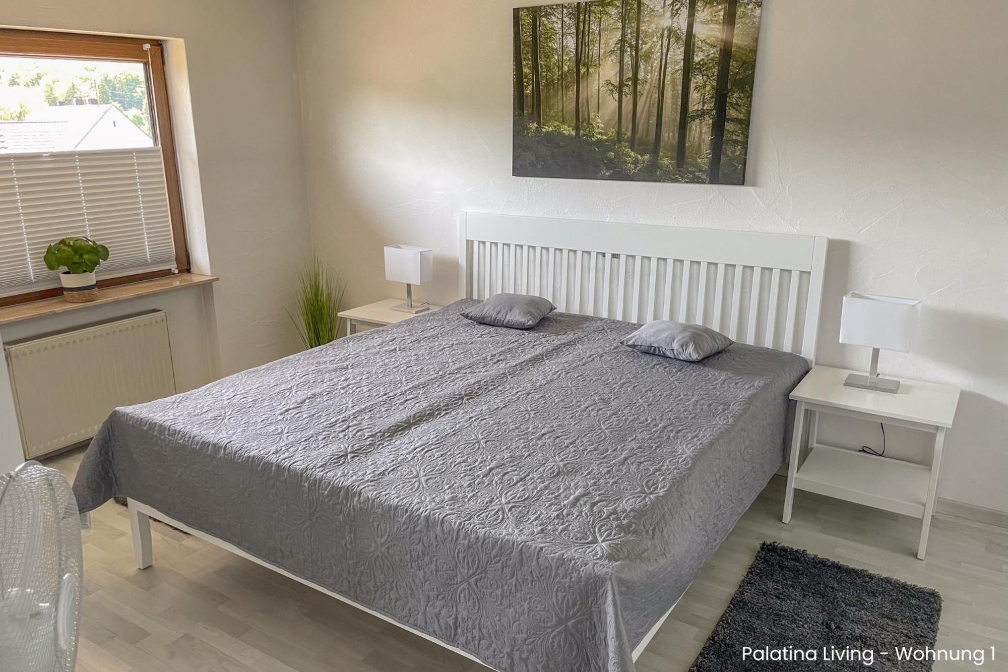 Palatina Living Διαμέρισμα Fischbach Εξωτερικό φωτογραφία