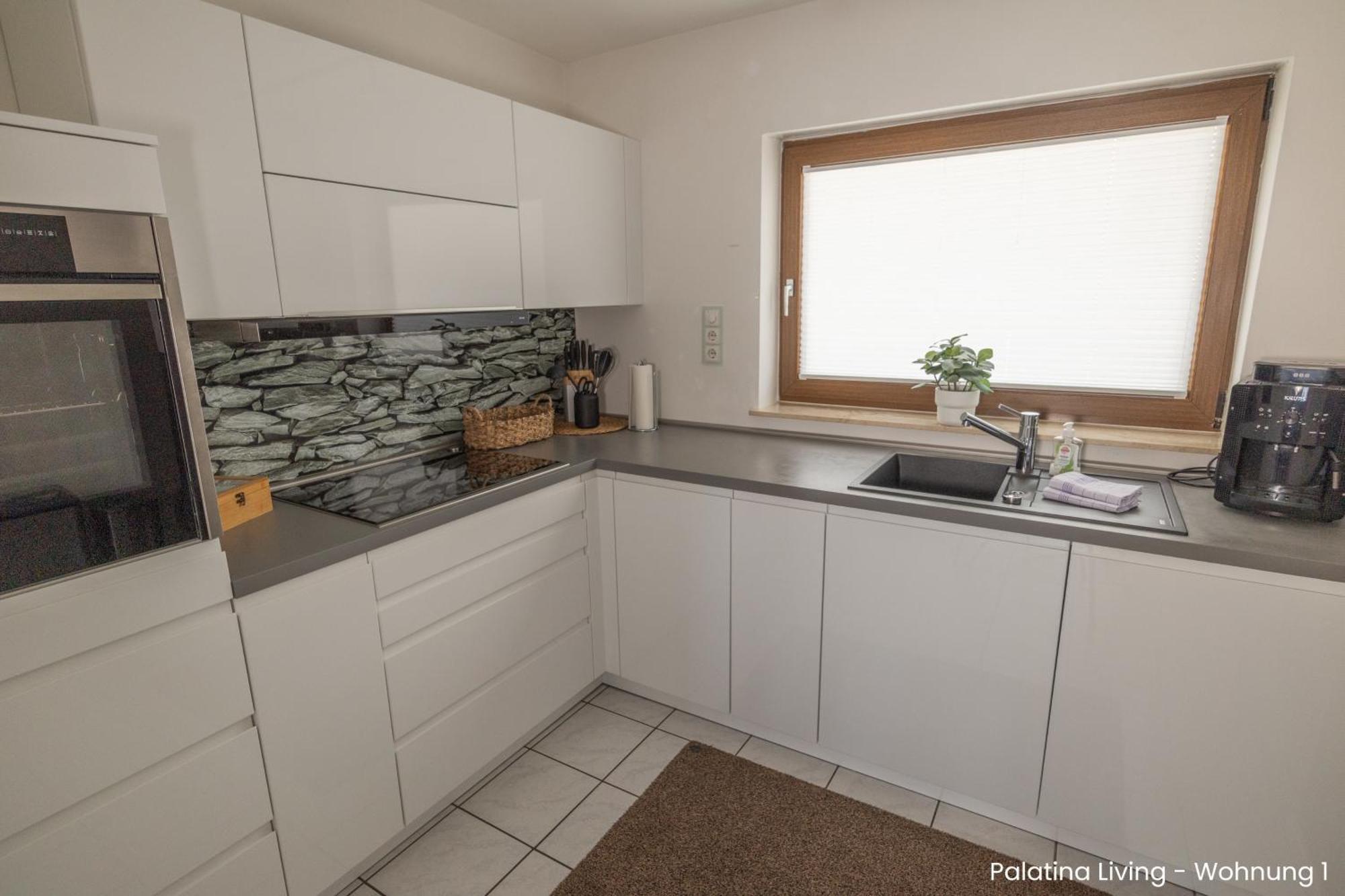Palatina Living Διαμέρισμα Fischbach Εξωτερικό φωτογραφία